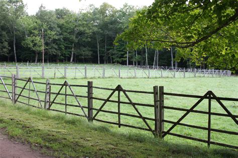Difference Between Fences And Hurdles