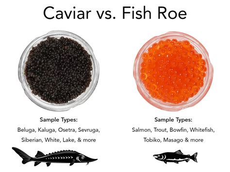 Difference Between Fish Eggs Caviar