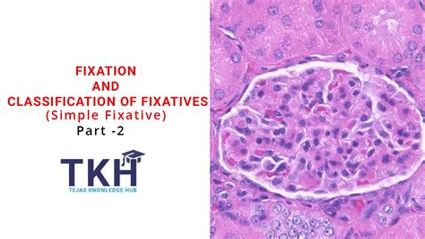 Difference Between Fixation And Fixative