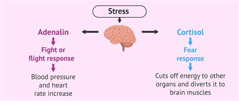difference between flow state and adrenaline