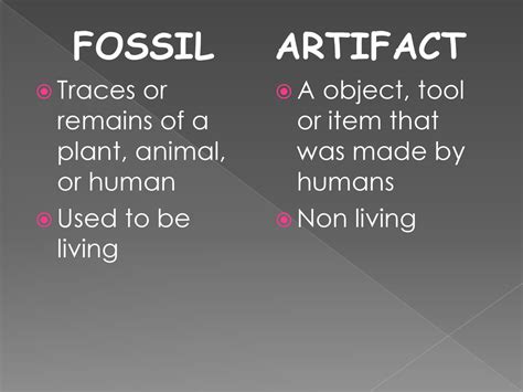 Difference Between Fossil And Living Fossil