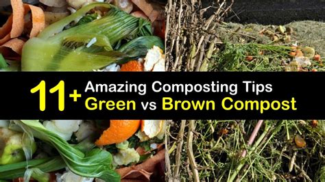 Difference Between Green And Brown Compost