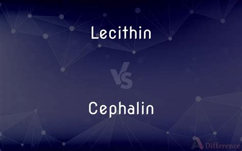 Difference Between Lecithin And Cephalin