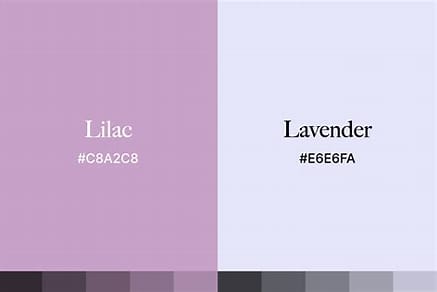 Perbedaan Warna Lilac dan Lavender