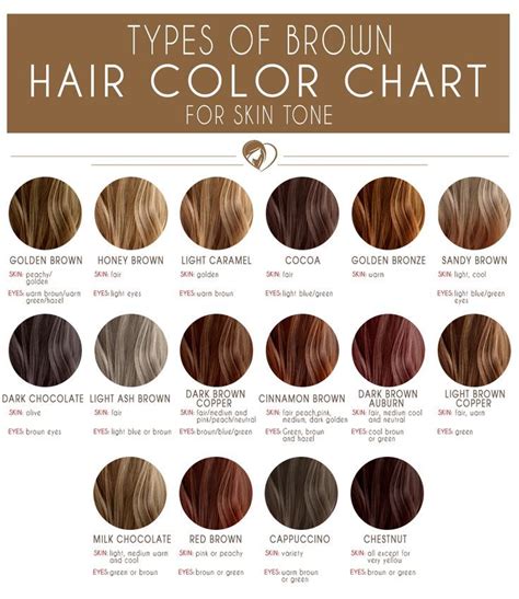 Perfect Difference Between Medium Brown And Medium Cool Brown For Hair Ideas