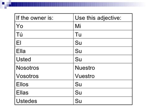 difference between mi and mis in spanish