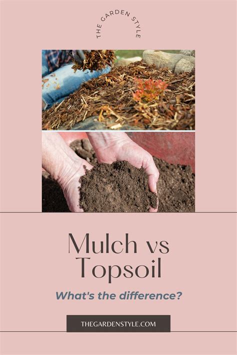 Difference Between Mulch And Soil