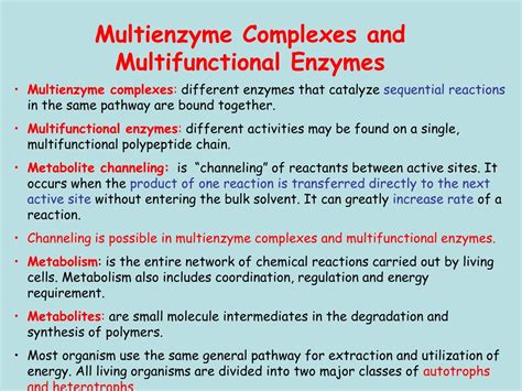 Difference Between Multienzyme Complex And Multifunctional Enzyme
