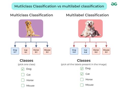 Difference Between Multilabel And Multiclass Classification