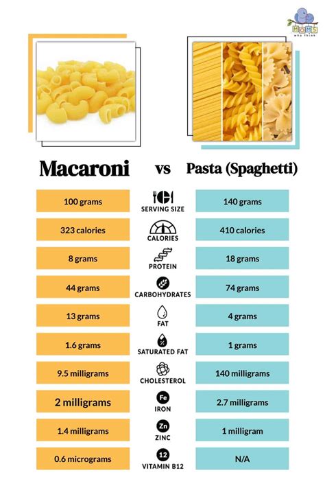 Difference Between Pasta Spaghetti Macaroni
