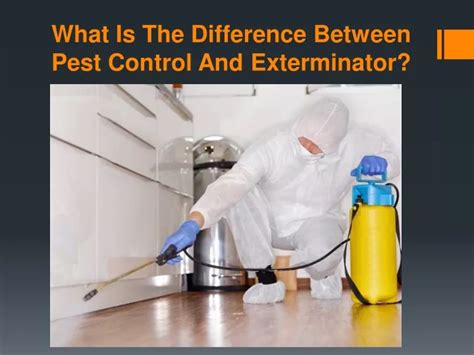 Difference Between Pest Control And Exterminator