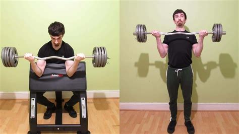 Difference Between Preacher Curl And Bicep Curl