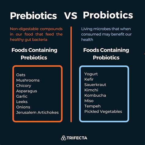 difference between prebiotic & probiotic