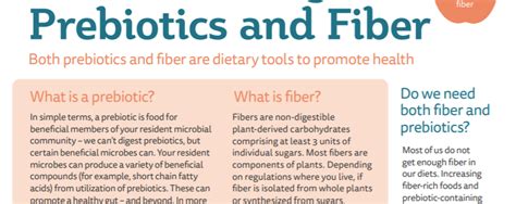 difference between prebiotic and fiber