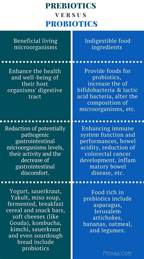 difference between prebiotic and probiotic