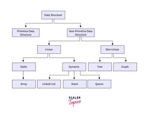 difference between primitive and non primitive data structure in python