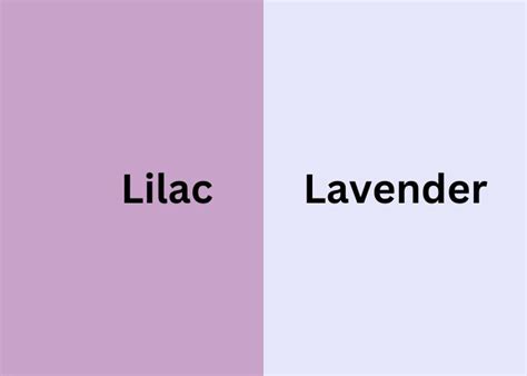 Perbedaan Warna Ungu Dan Lilac 2