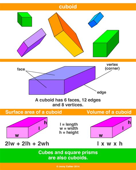 Difference Between Rectangular Cuboid And Square Prism