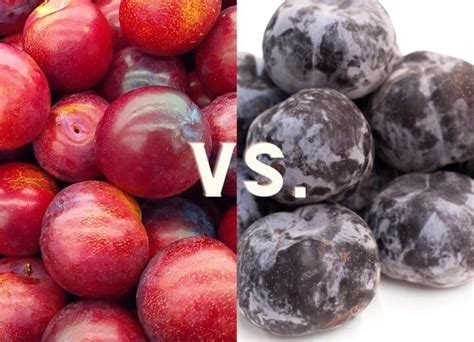 difference between red and black plums