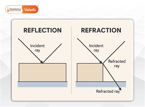 Difference Between Reflect And Refract