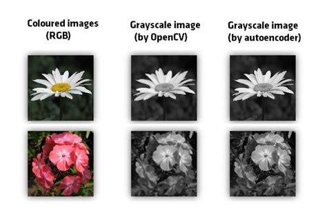 difference between rgb and grayscale image