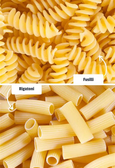 Difference Between Rigatoni Pasta
