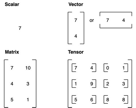 difference between scalar vector and tensor