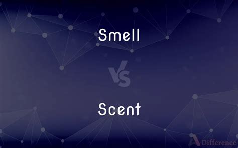 Difference Between Scent And Smell