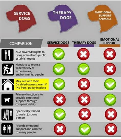 difference between service dog and emotional support dog
