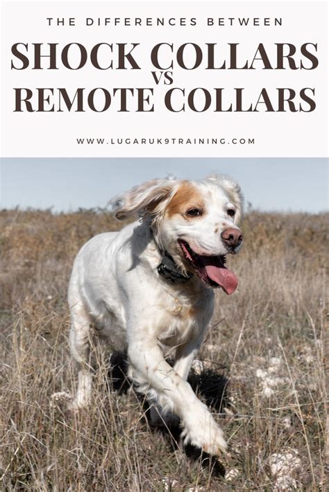 Difference Between Shock And Vibration Collars