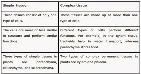 difference between simple and complex tissues