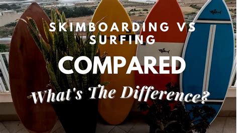Difference Between Skimboarding And Surfing