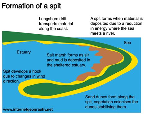 Difference Between Split And Spit