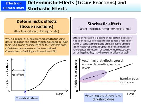 difference between stochastic and non stochastic effect