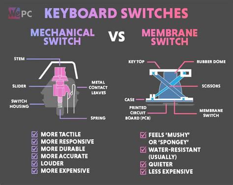 Difference Between Switches Mechanical Keyboard