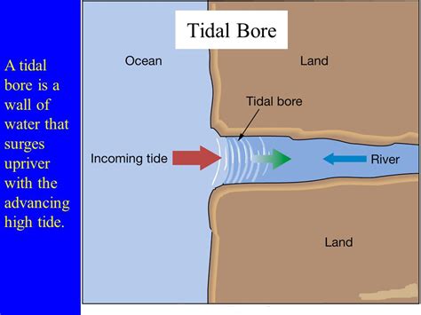 difference between tidal and tidal connect