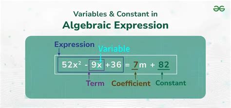 difference between variable and constant in algebra