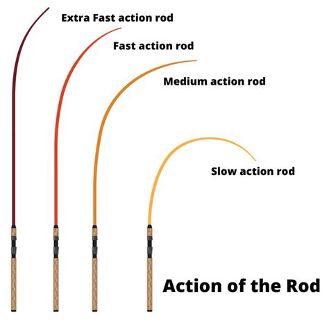 difference in fishing rod action