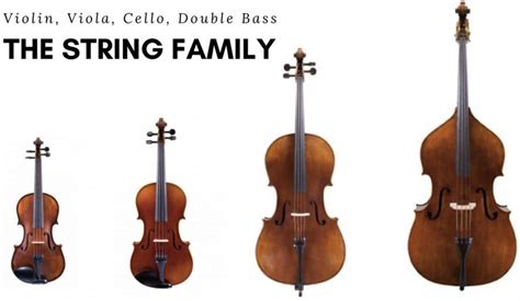 Difference In Violin Strings