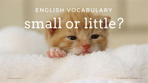 difference of tiny and little