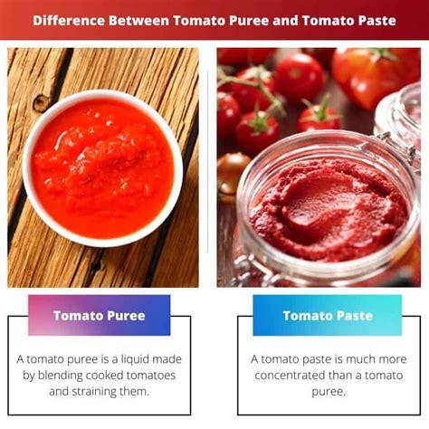 What Is the Difference Between Tomato Puree and Paste?