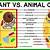 differences between plant and animal cells