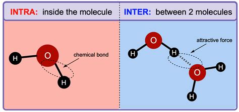 differences between intramolecular forces