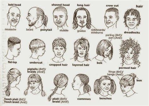 Hairstyle Types