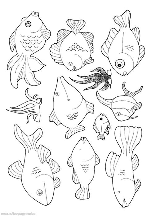 different types of fish coloring pages