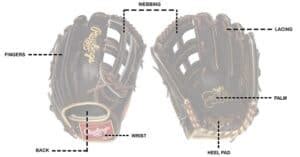 Different Baseball Glove Pockets