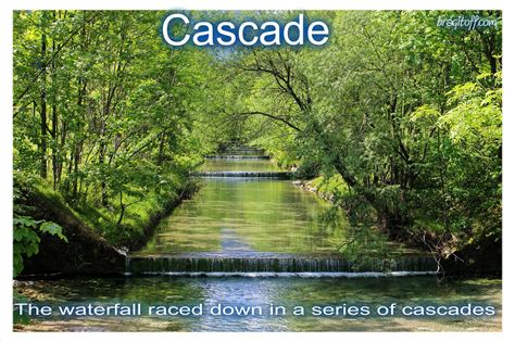 Different Cascade Types
