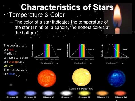 different characteristics of stars