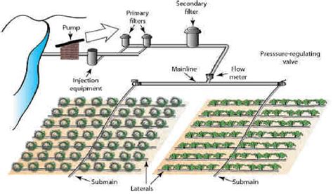 Different Components Of Drip Irrigation System