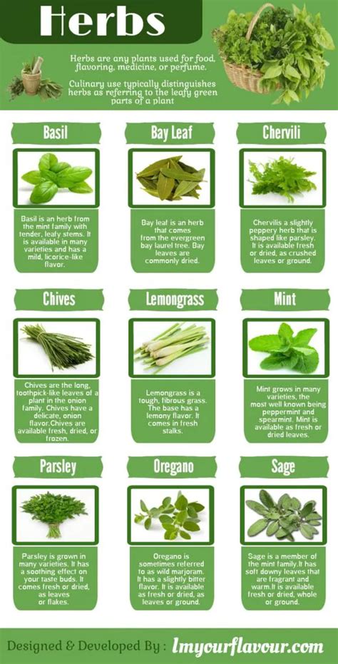 Different Herbs And Their Uses